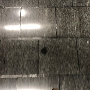 Meet your Posher, Winston